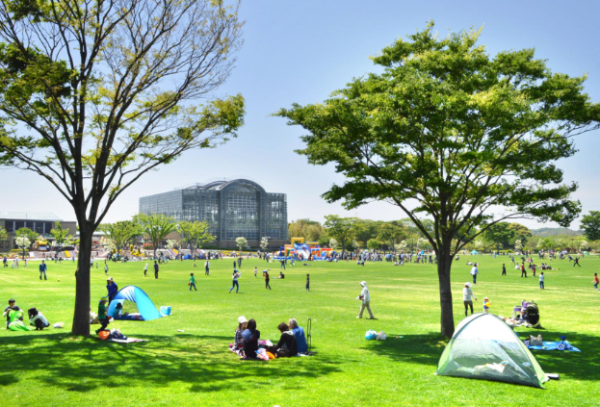 公園用地買賣指南及注意事項：用途解析與實務關鍵知識